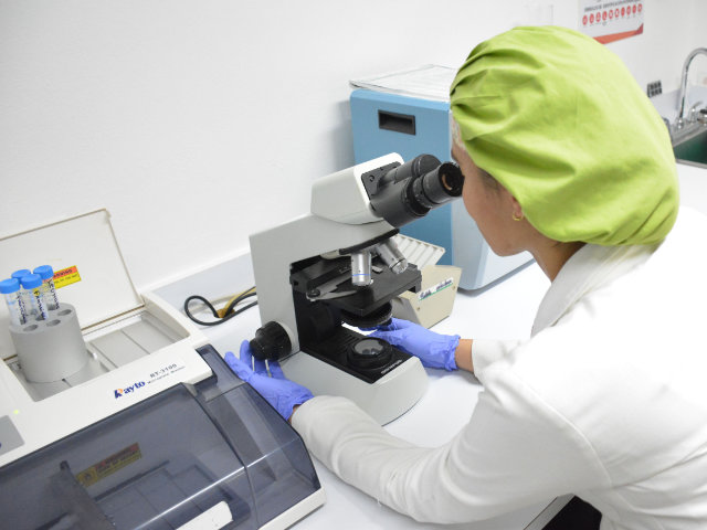 laboratorio-iregci-3