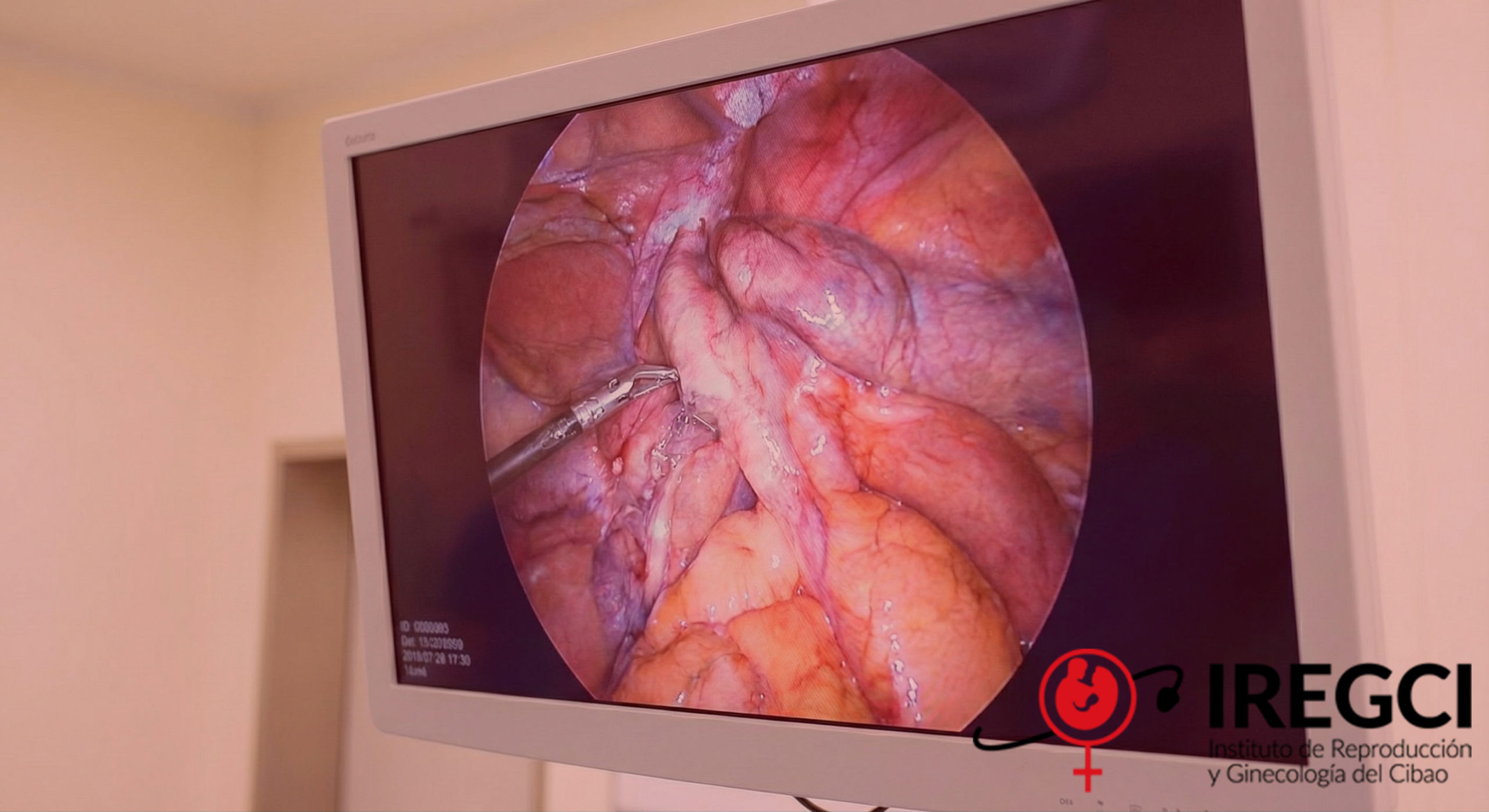 Gemini_Generated_Image_cjcphncjcphncjcp-Recovered15