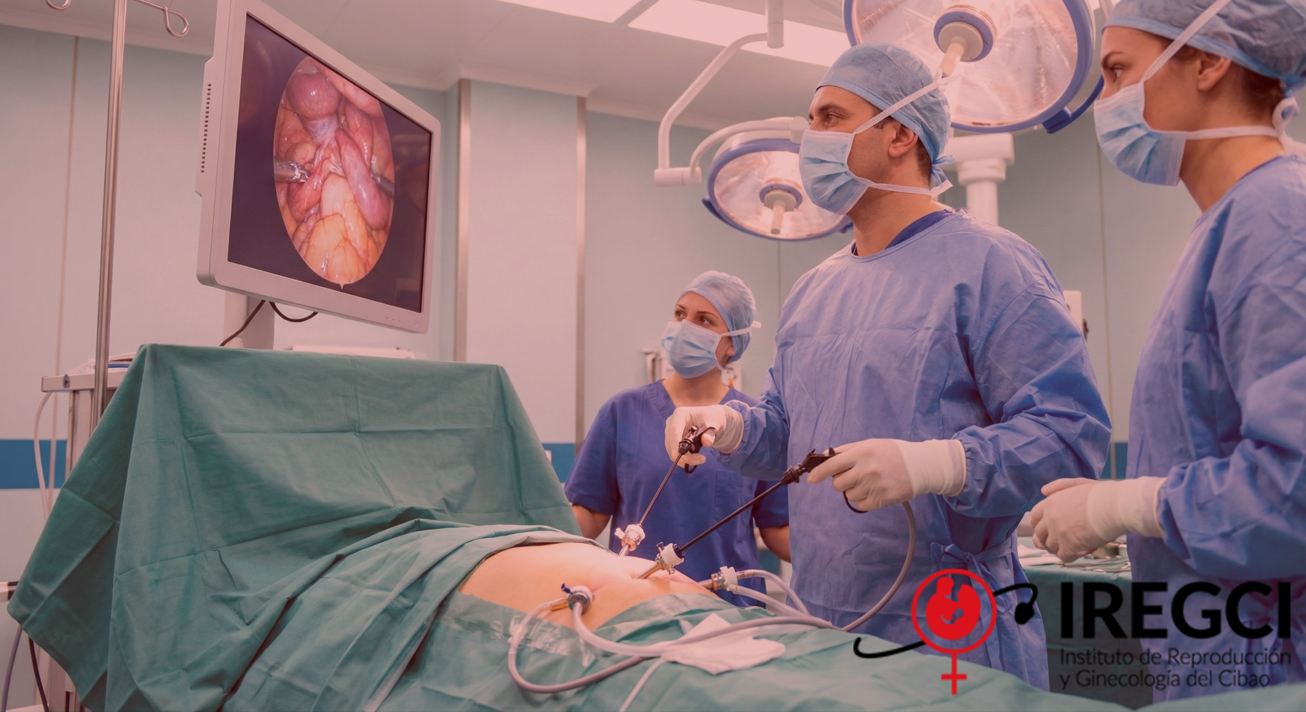 Gemini_Generated_Image_cjcphncjcphncjcp-Recovered17