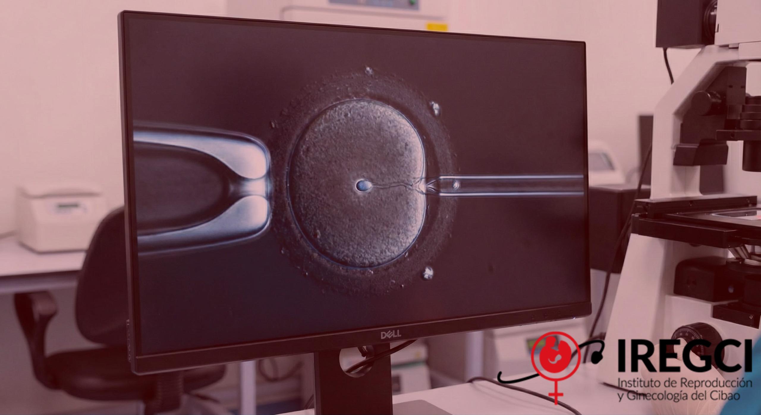 Gemini_Generated_Image_cjcphncjcphncjcp19