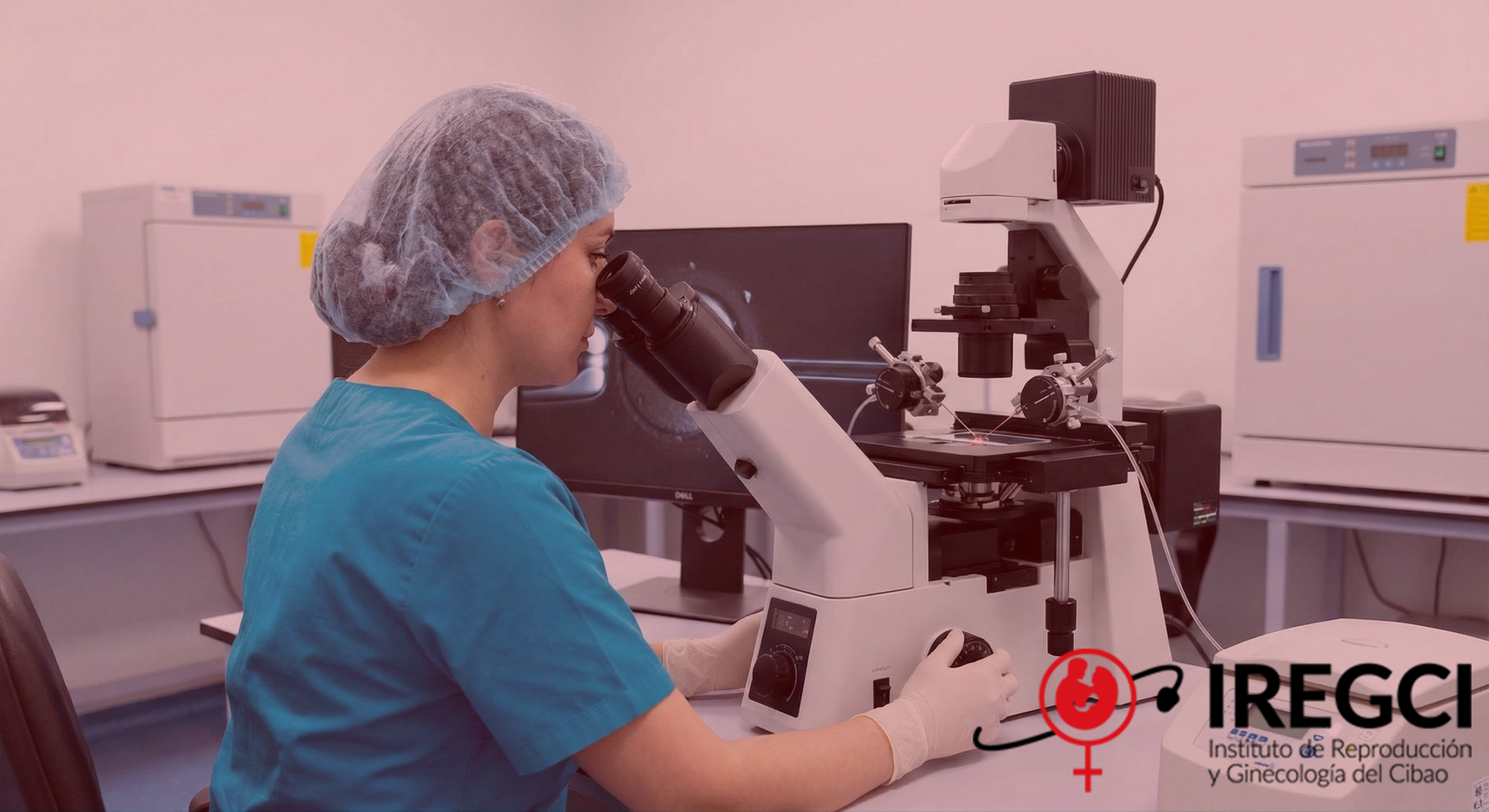 Gemini_Generated_Image_cjcphncjcphncjcp20