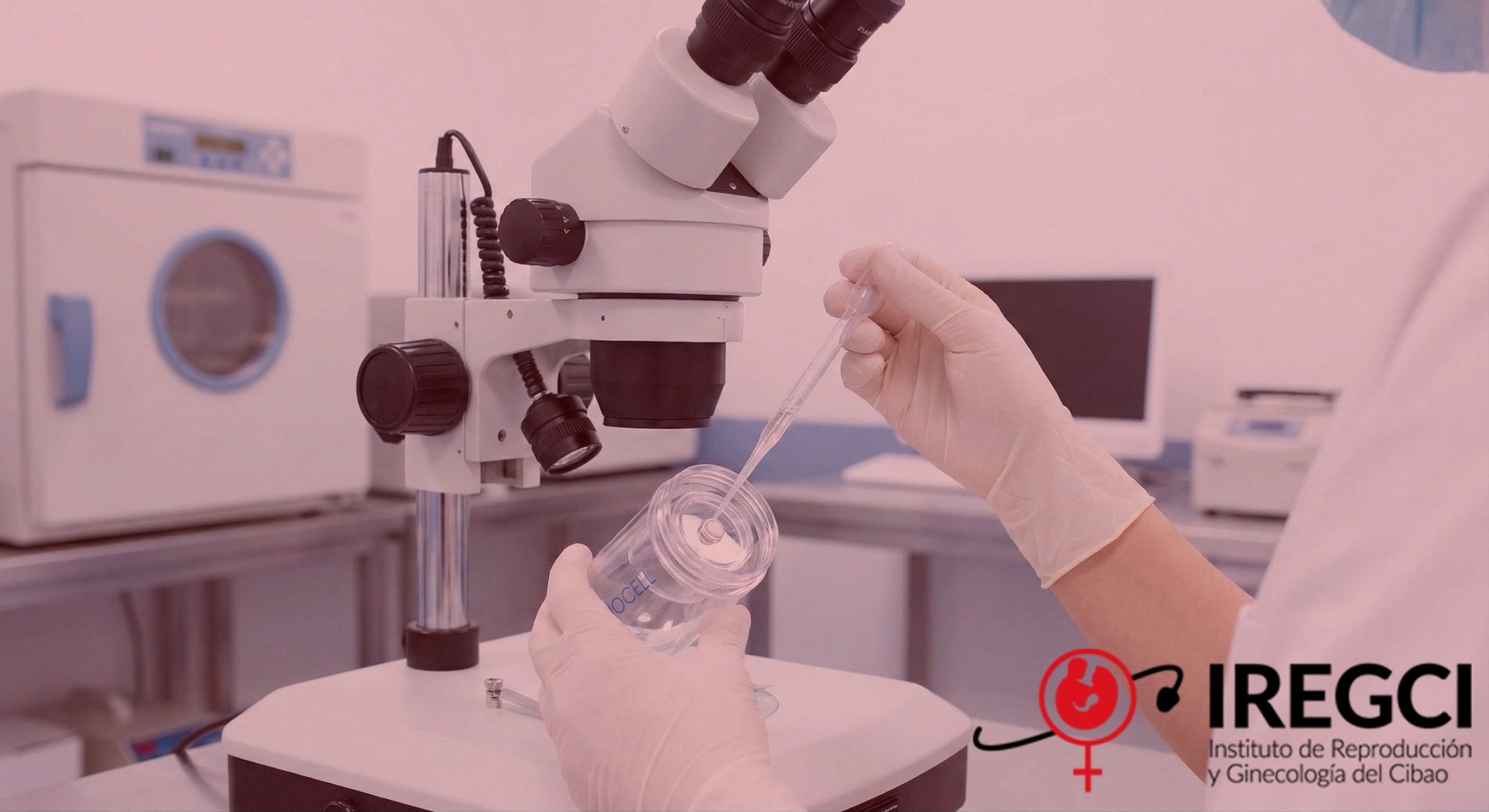 Gemini_Generated_Image_cjcphncjcphncjcp24