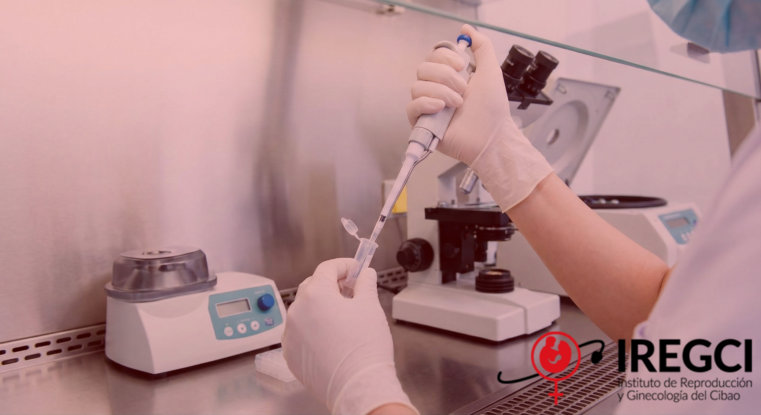 Gemini_Generated_Image_cjcphncjcphncjcp27