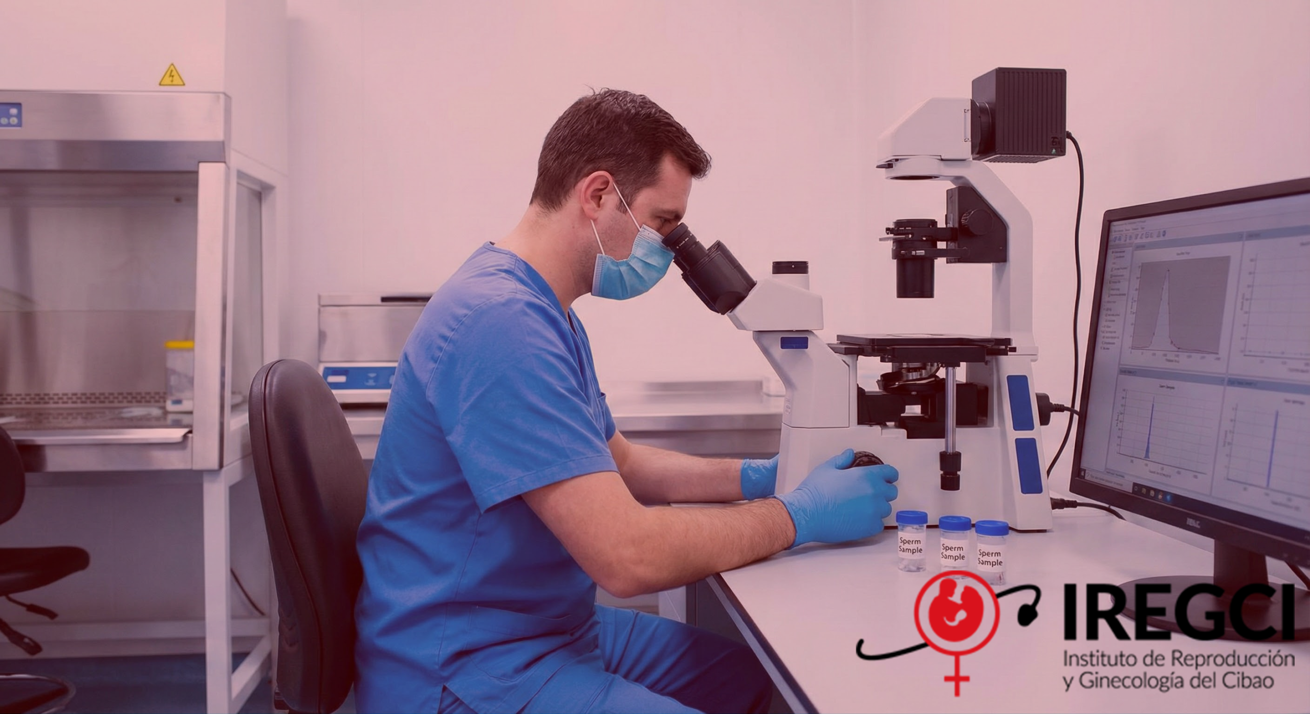 Gemini_Generated_Image_cjcphncjcphncjcp29