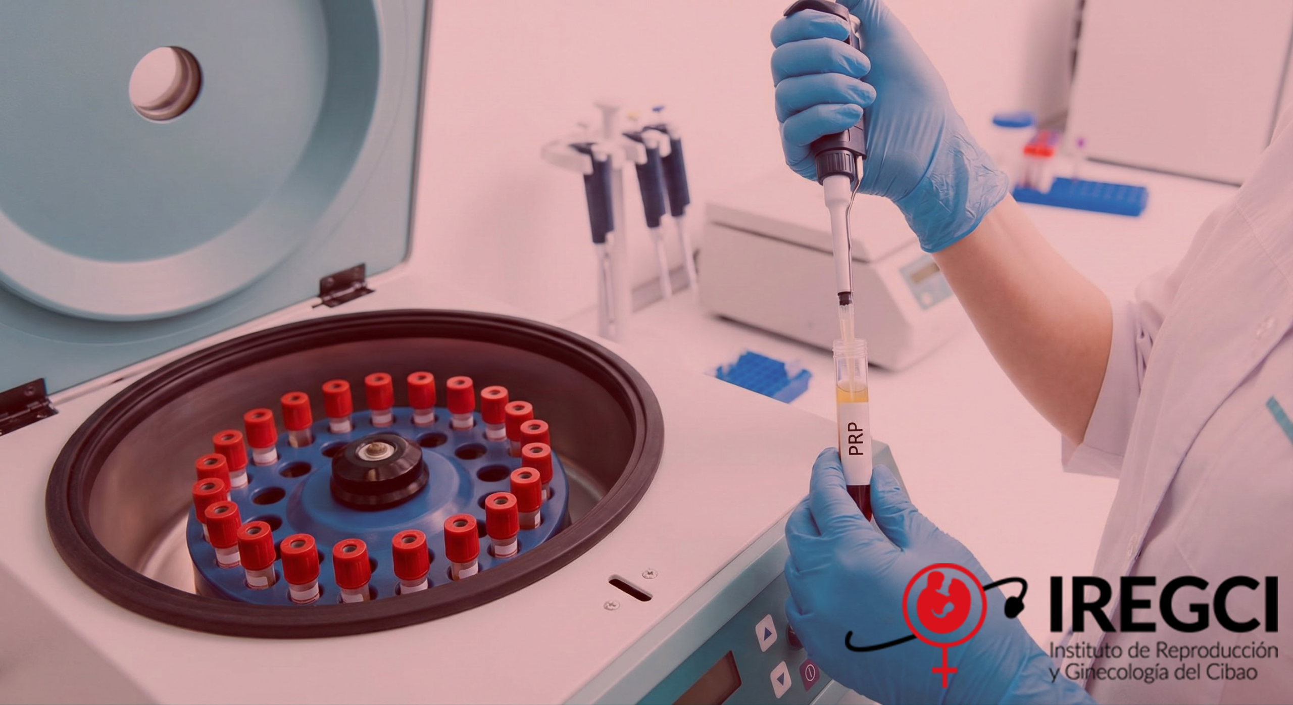 Gemini_Generated_Image_cjcphncjcphncjcp33