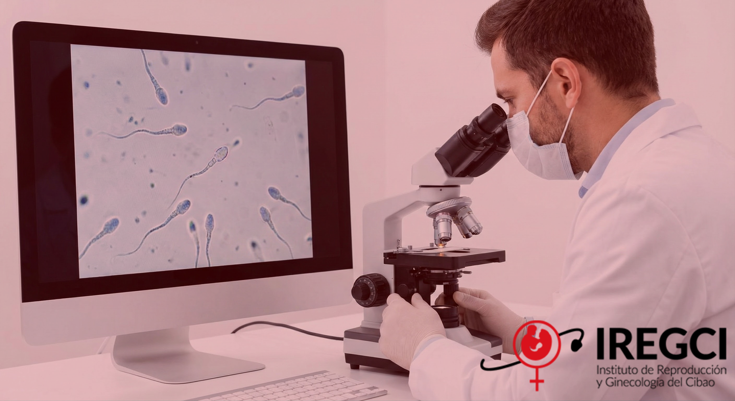 Gemini_Generated_Image_cjcphncjcphncjcp38