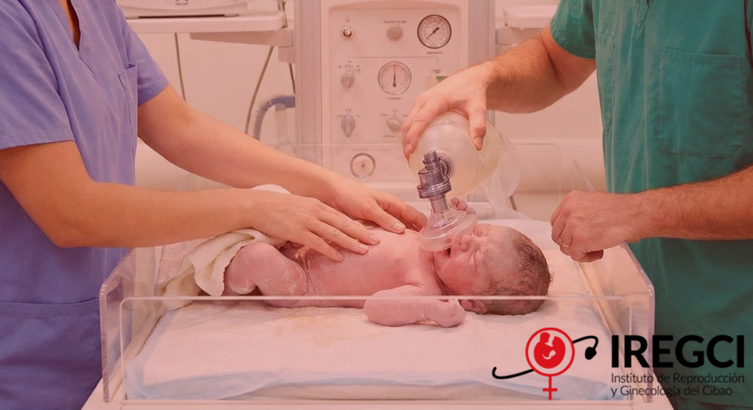 Gemini_Generated_Image_cjcphncjcphncjcp43