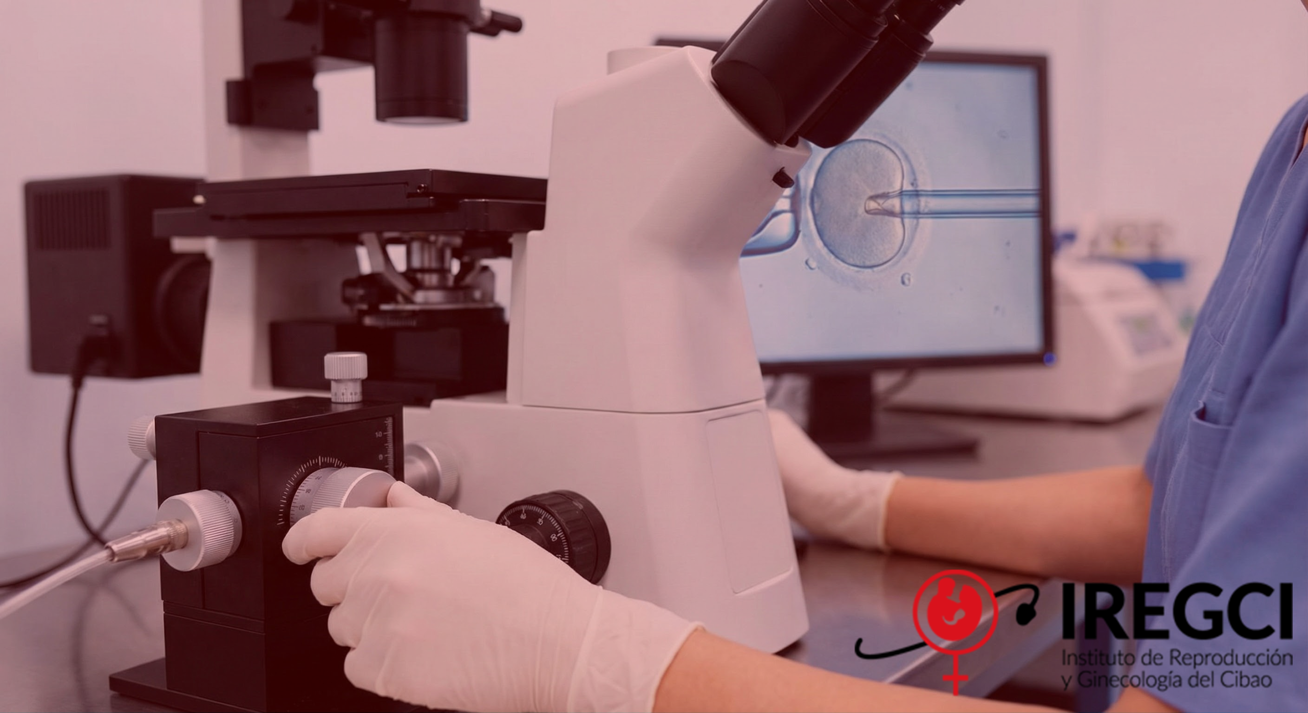 Fertilización In Vitro