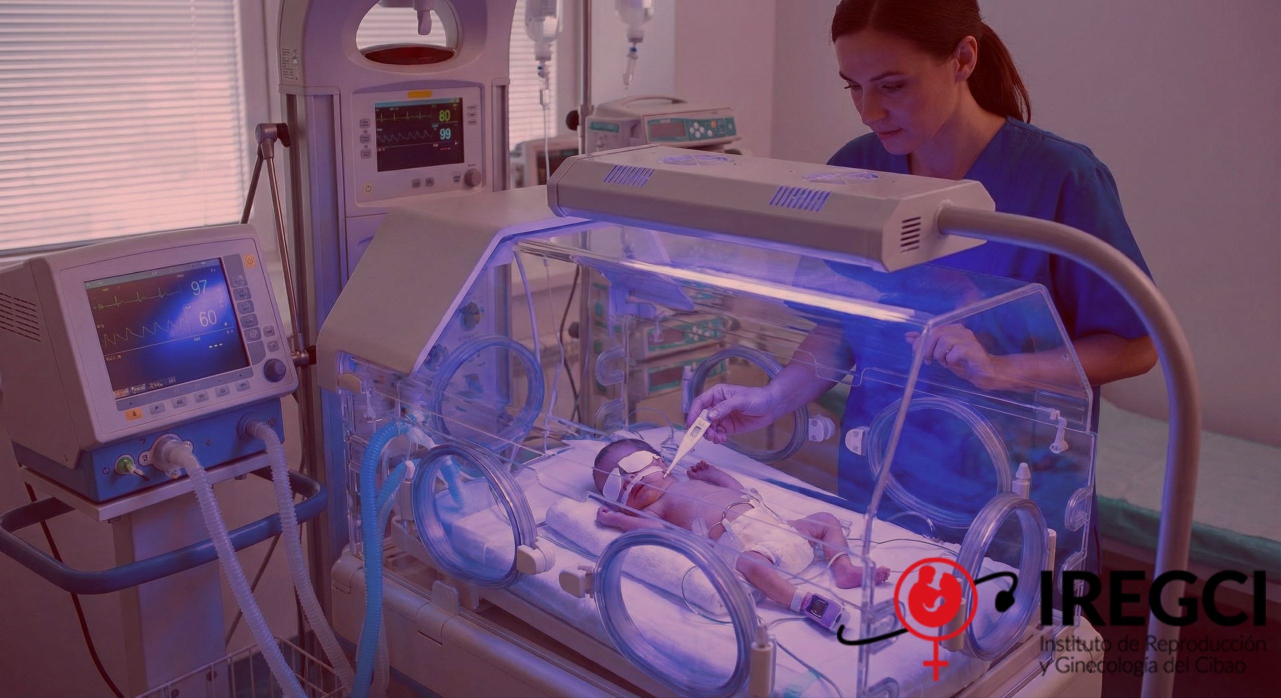 Gemini_Generated_Image_cjcphncjcphncjcp52