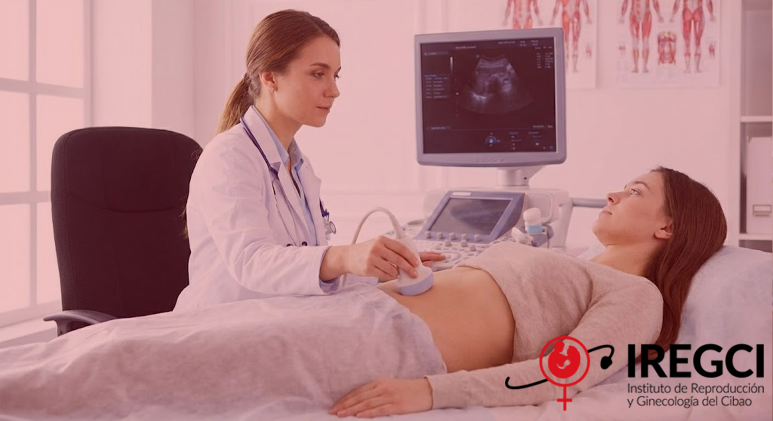 Gemini_Generated_Image_cjcphncjcphncjcp58