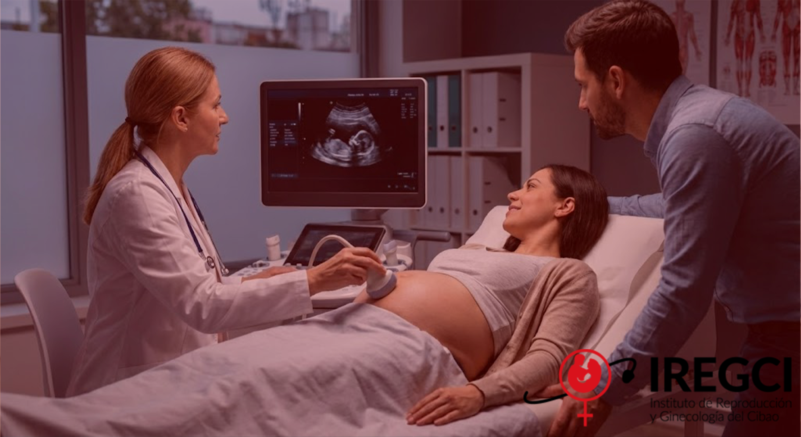 Gemini_Generated_Image_cjcphncjcphncjcp61