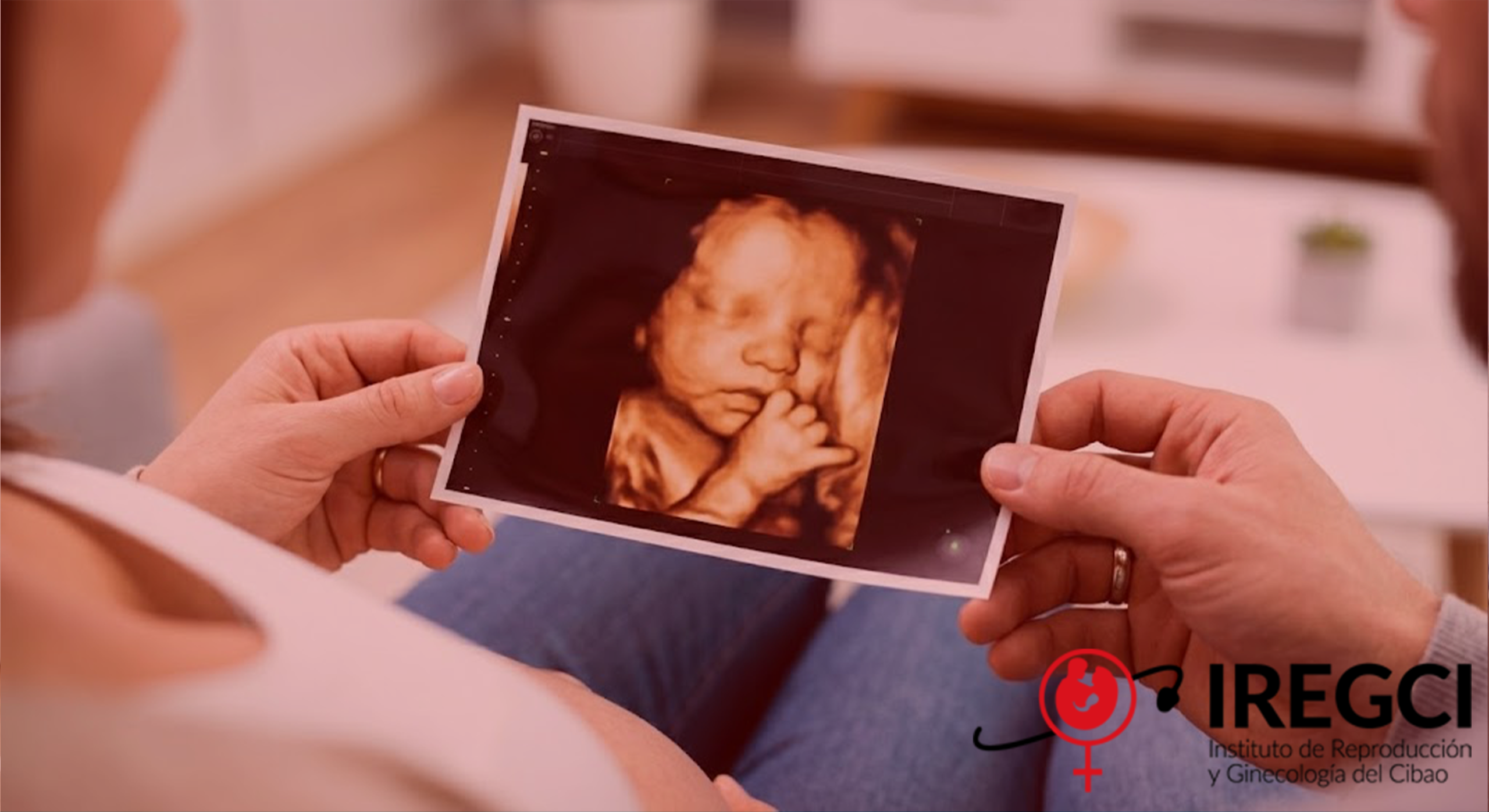 Gemini_Generated_Image_cjcphncjcphncjcp65